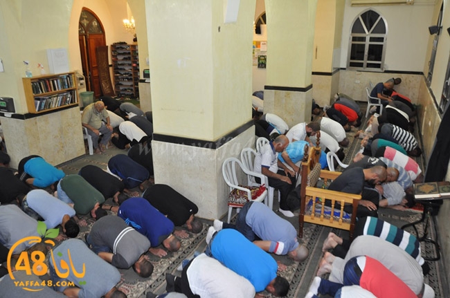 traw7 jabalayaua (27).JPG